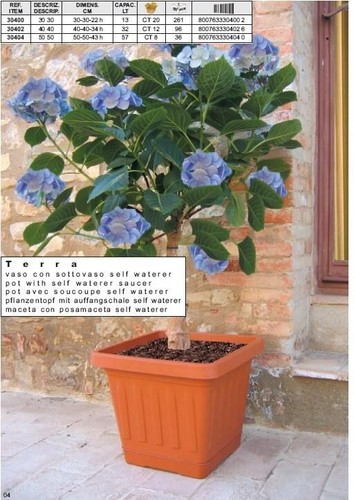 Vaso per piante esterno - vaso,